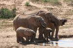safrica10_image46.jpg